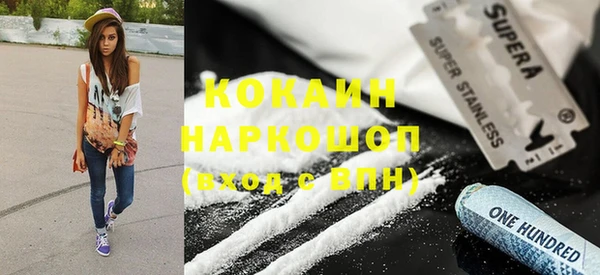 ешки Арсеньев