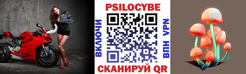 Псилоцибиновые грибы Psilocybine cubensis Муравленко